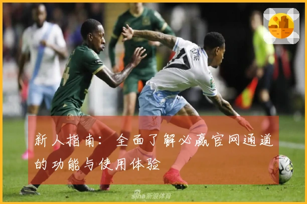 新人指南：全面了解必赢官网通道的功能与使用体验