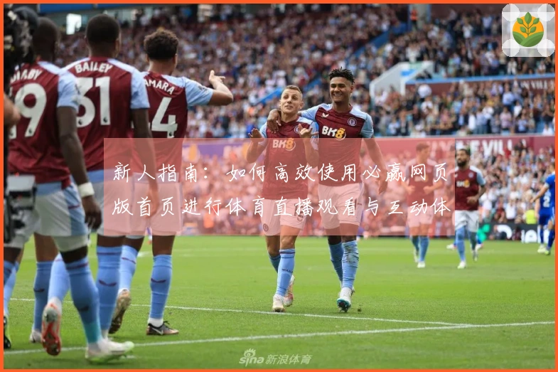 新人指南:如何高效使用必赢网页版首页进行体育直播观看与互动体验