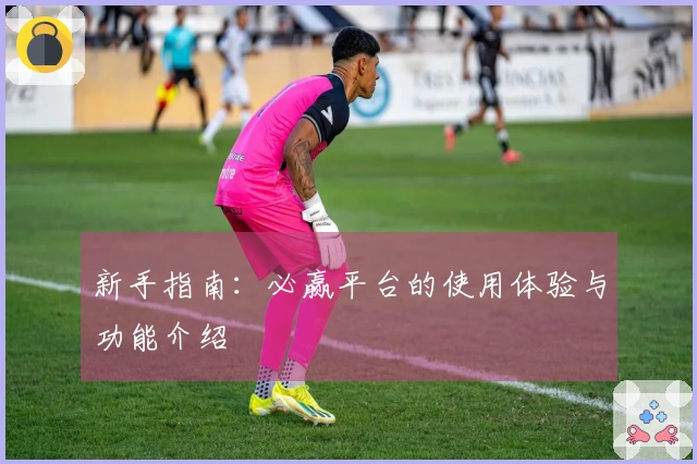 新手指南：必赢平台的使用体验与功能介绍