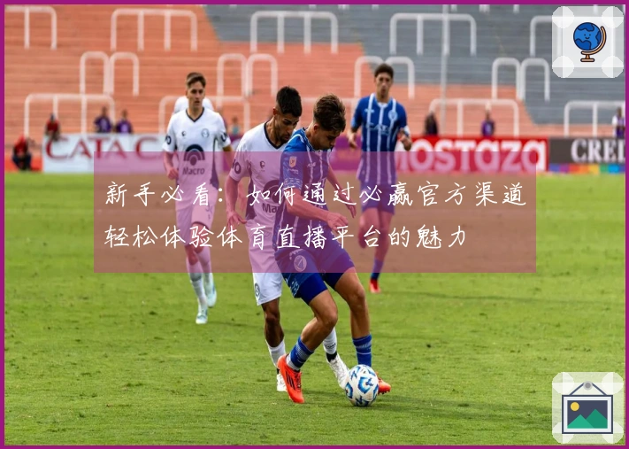 新手必看：如何通过必赢官方渠道轻松体验体育直播平台的魅力